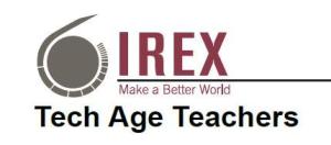 Logo-irex
